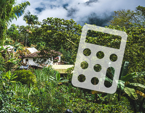 Calculadora de ingreso real de las familias cafeteras