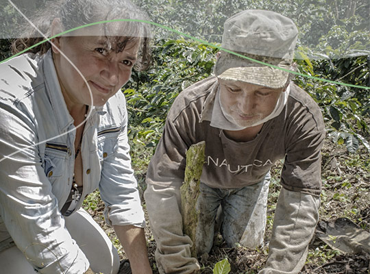 Conversatorio : Promoviendo una cultura de trabajo familiar y de igualdad en la finca
