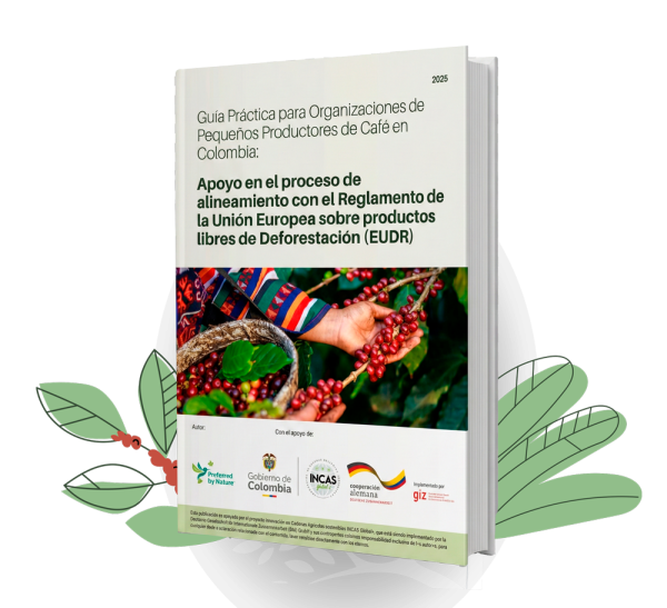 guia practica para organizaciones de pequeños productores de cafe en colombia